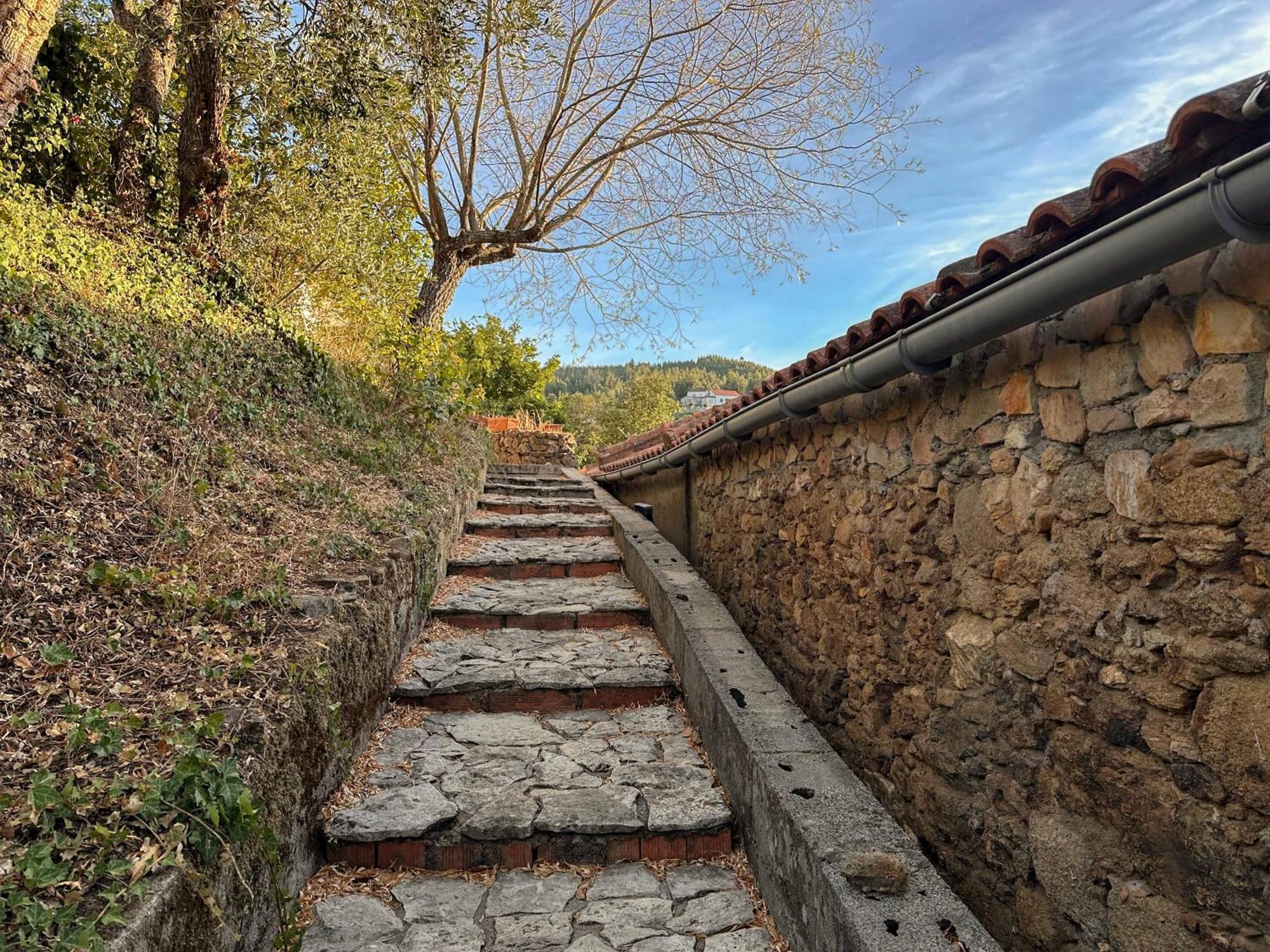 Glamping Do Ze 호텔 Cernache do Bonjardim 외부 사진