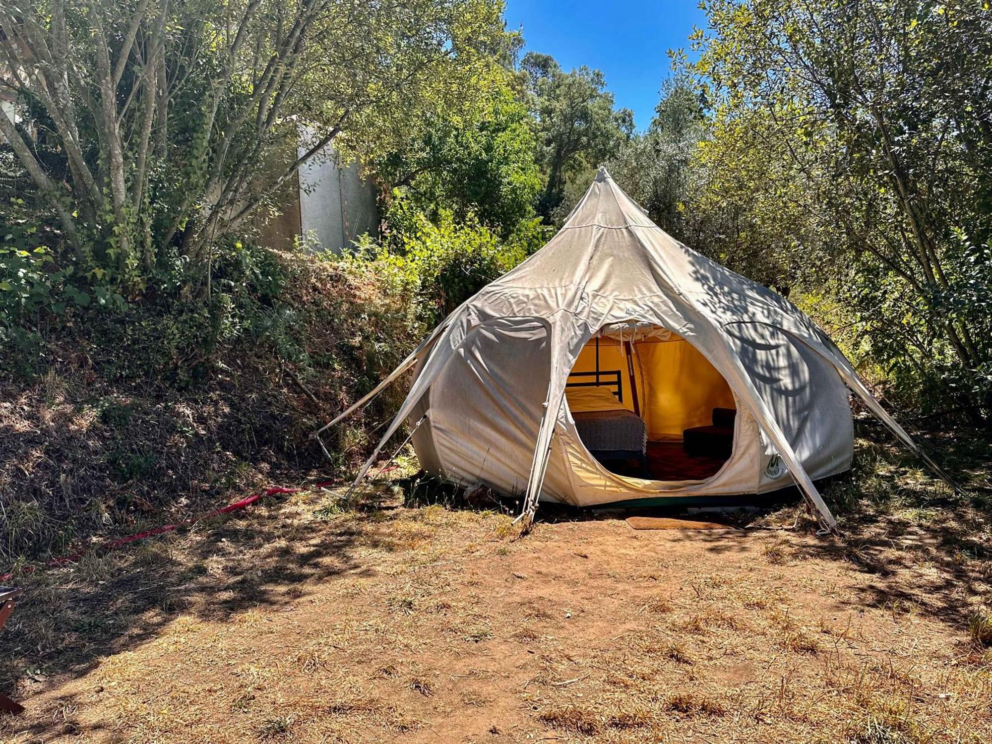 Glamping Do Ze 호텔 Cernache do Bonjardim 외부 사진
