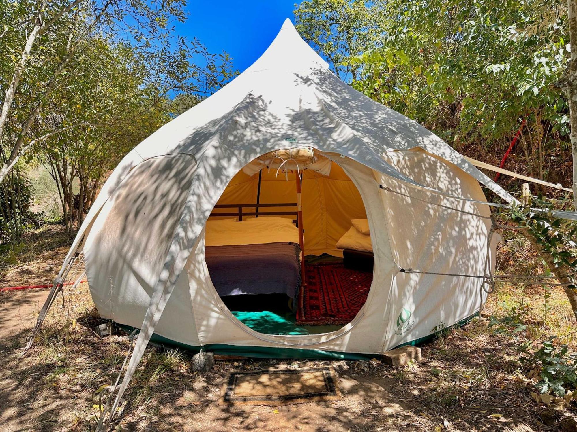 Glamping Do Ze 호텔 Cernache do Bonjardim 외부 사진