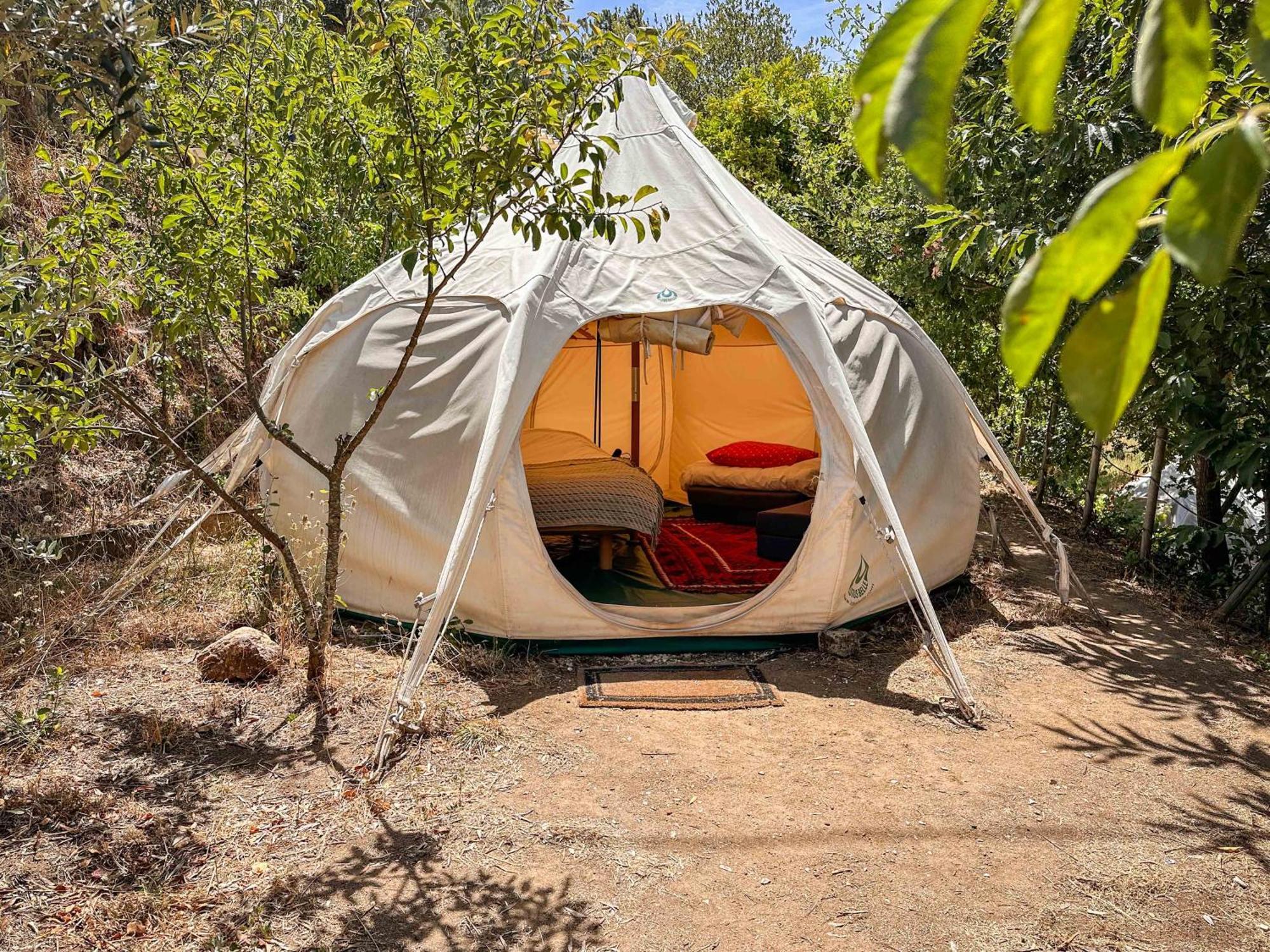 Glamping Do Ze 호텔 Cernache do Bonjardim 외부 사진
